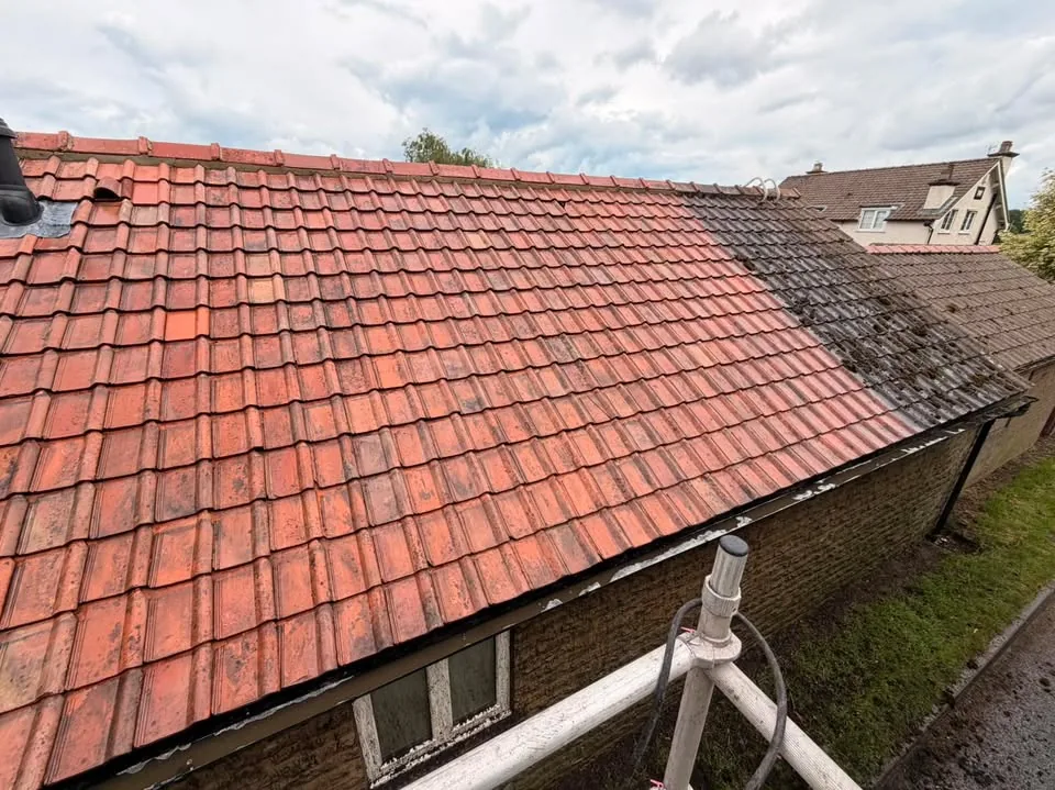 Moss Removal in York by Hopkins Exterior Cleaning